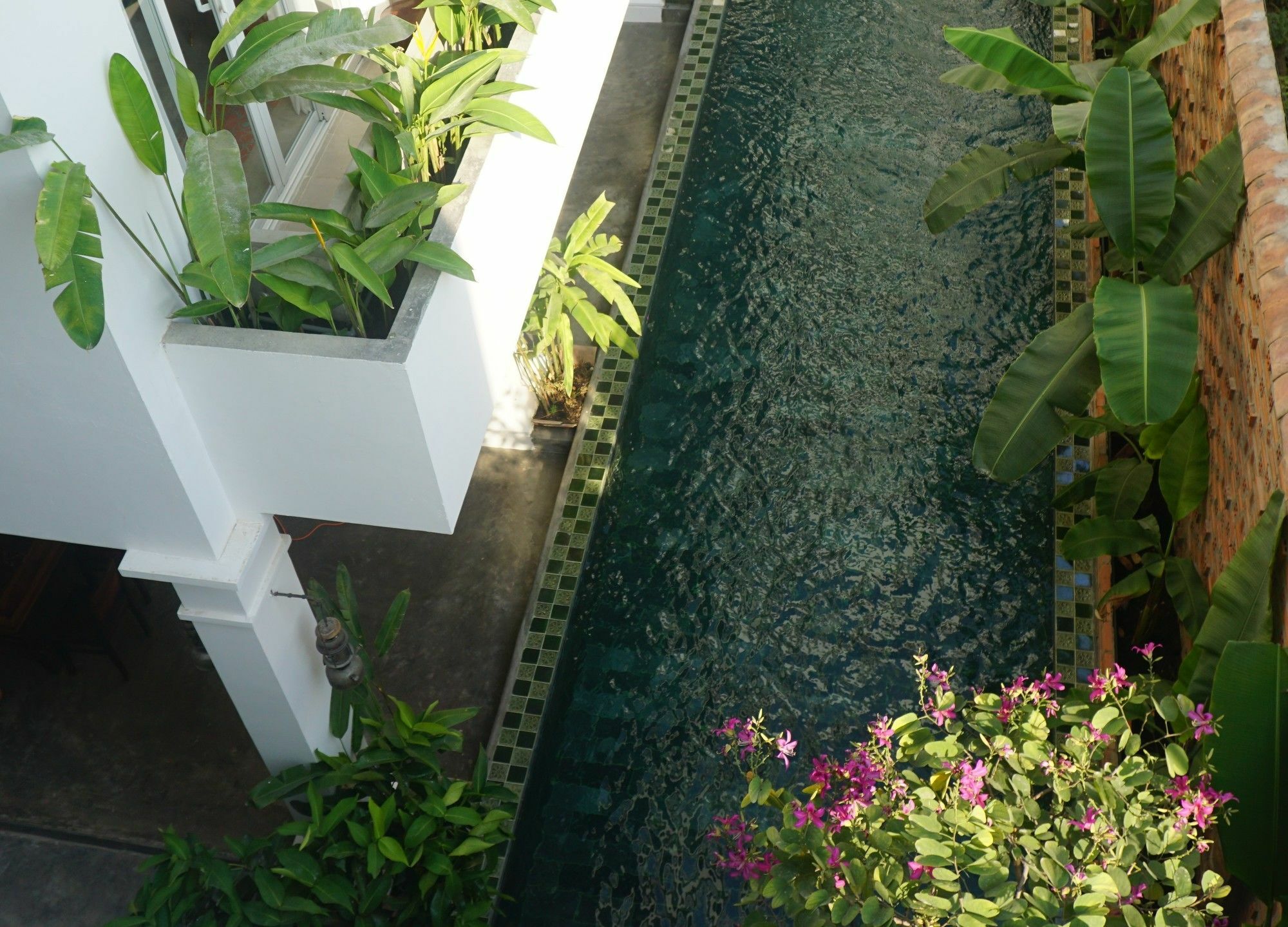 Iam Saigon Homestay Πόλη Χο Τσι Μινχ Εξωτερικό φωτογραφία