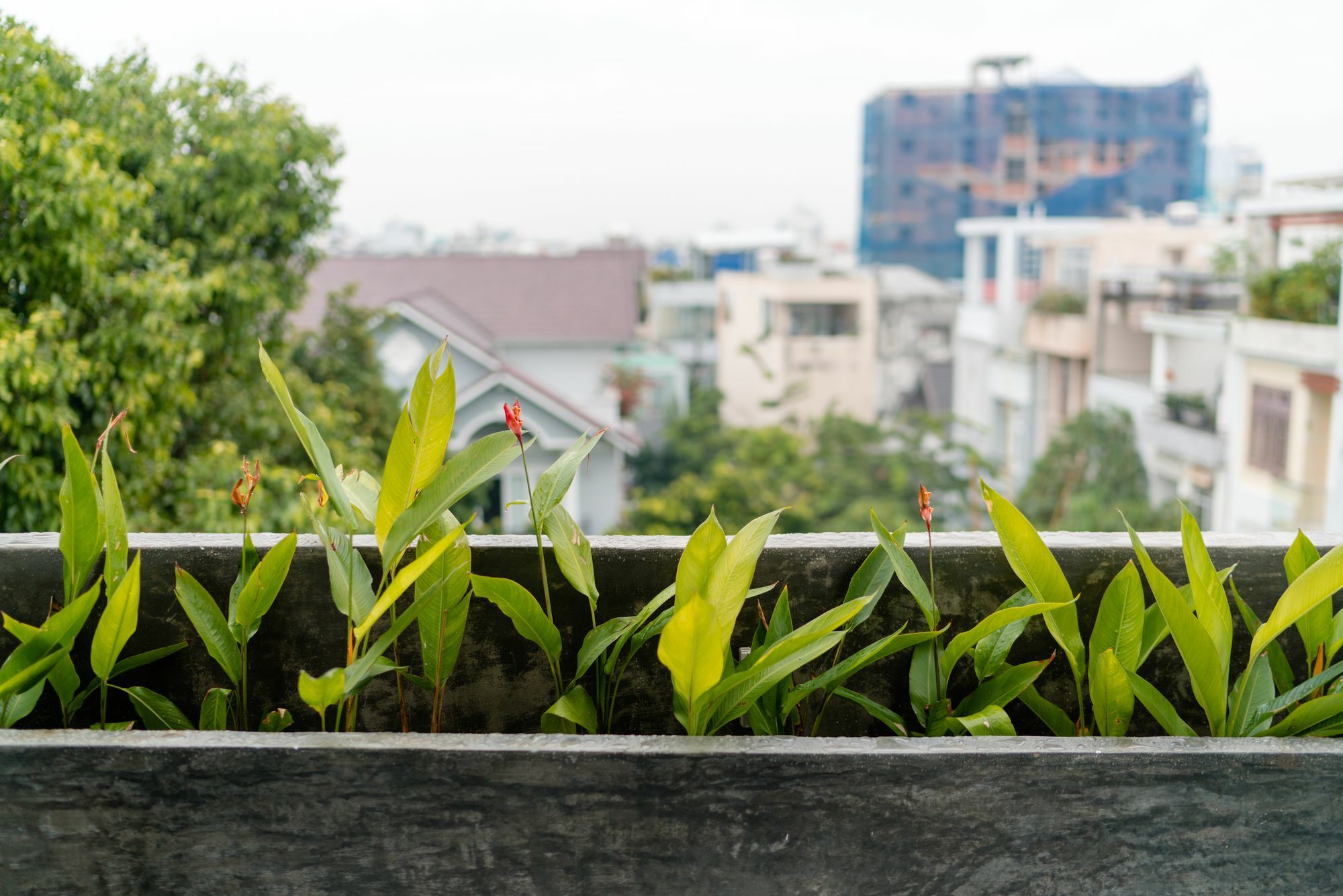 Iam Saigon Homestay Πόλη Χο Τσι Μινχ Εξωτερικό φωτογραφία